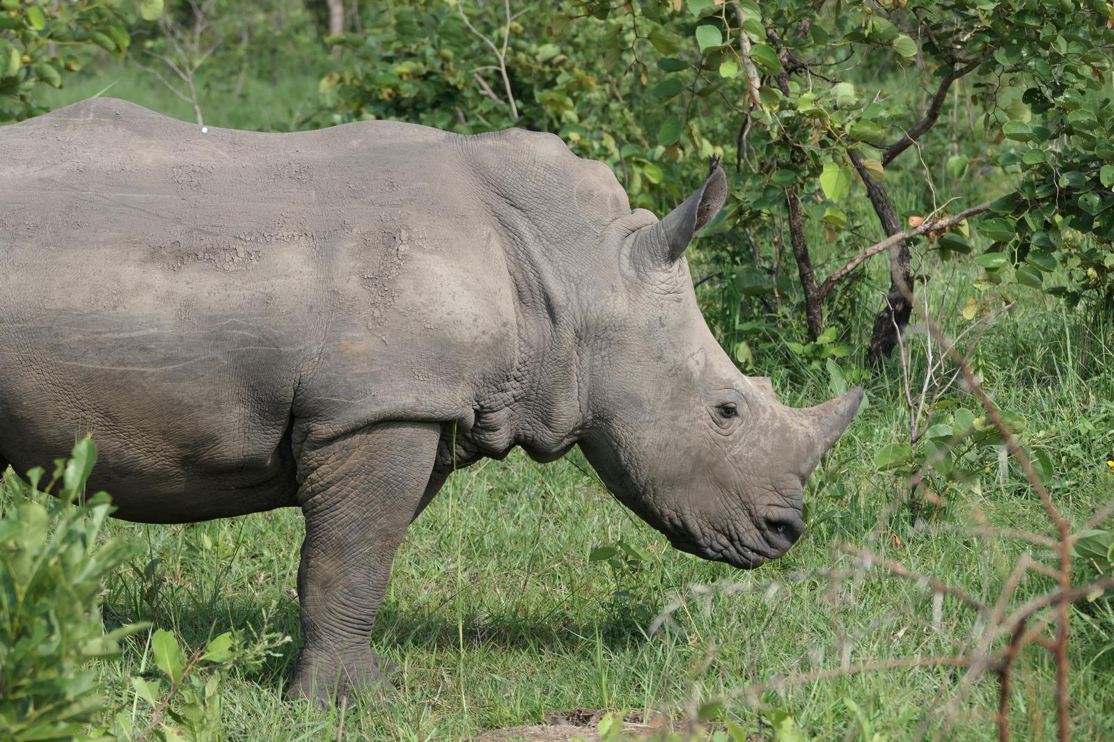 Photo of OEGANDA